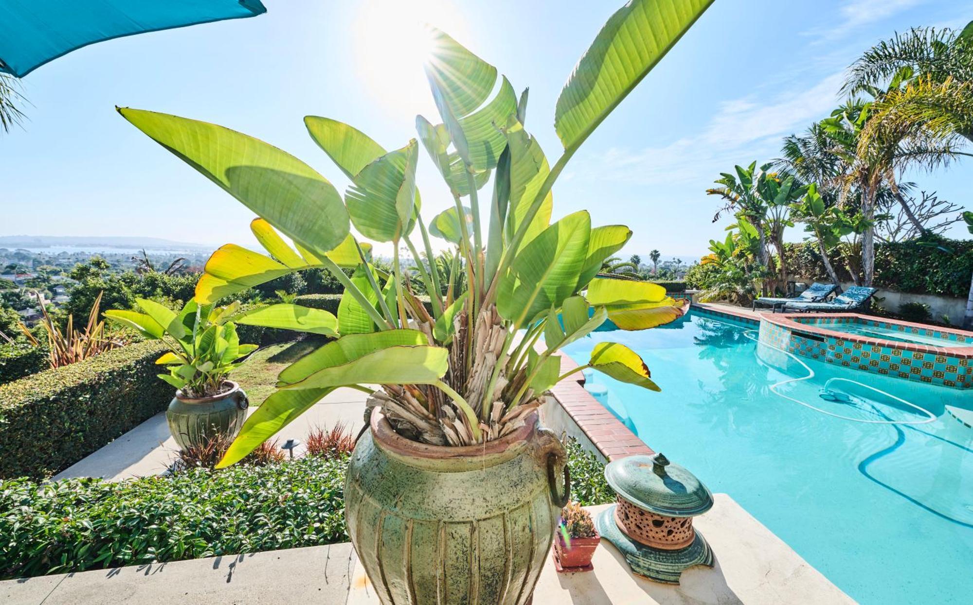 360 Degree Ocean & City Views With Pool, Spa, Close To The Beach! Pets Ok サンディエゴ エクステリア 写真